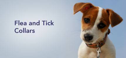 Dog Flea and Tick Collars
