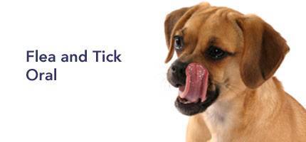 Dog Flea and Tick Oral