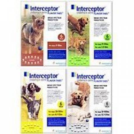 Interceptor Flavor Tabs (milbemycin oxime) for Cats