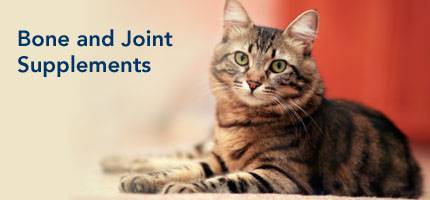 Cat Bone and Joint Supplements