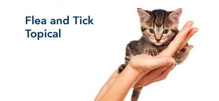 Cat Flea and Tick Topical