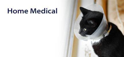 Cat Home Medical