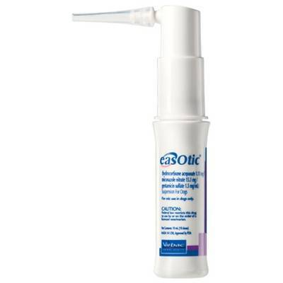 dogs at the shelter near me