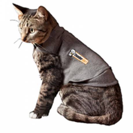 Thundershirt for Cats