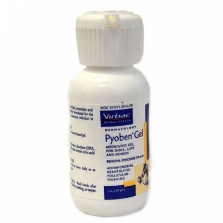 Benzoyl peroxide ointment deals for dogs