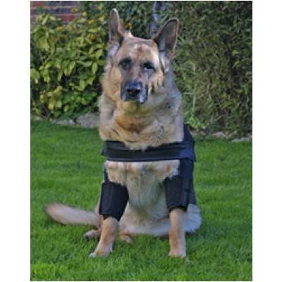 hygroma pads for dogs