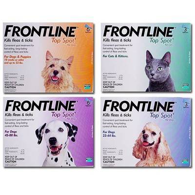 frontline top spot