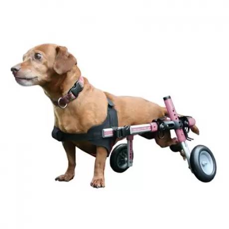 Walkin' Wheels Mini Adjustable Dog Wheelchair in Blue or Pink