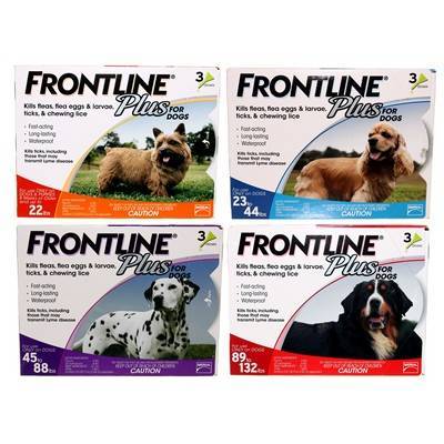 frontline plus flea and tick