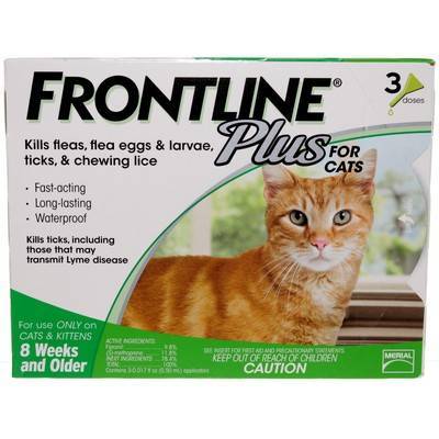 frontline flea drops for cats