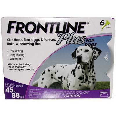 frontline plus safe