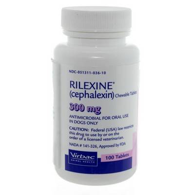 rilexine for dogs rilexine cephalexin chewable tablets for dogs vetrxdirect rilexine for dogs rilexine cephalexin chewable tablets for dogs vetrxdirect