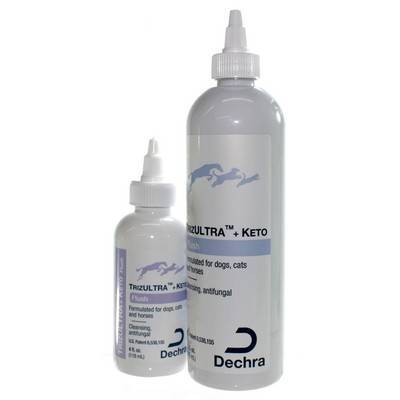 female alaskan husky