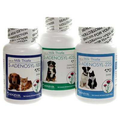 milk thistle supplement for dogs