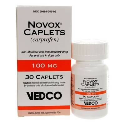 carprofen 100 mg