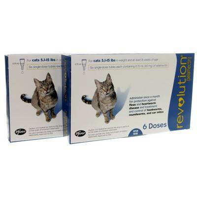 kitten revolution dose