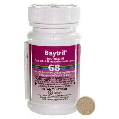 6573 baytril taste tabs for dogs and cats