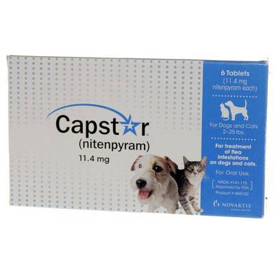 Capstar For Dogs Reviews Capstar For Dogs Reviews