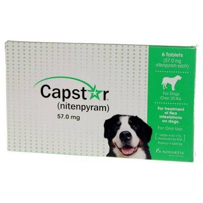 capstar flea pill