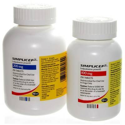 Cefpodoxime For Dogs Ear Infections