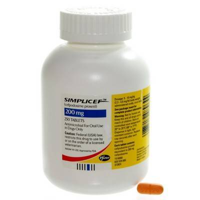 Simplicef For Dogs Cefpodoxime For Dogs Vetrxdirect Com