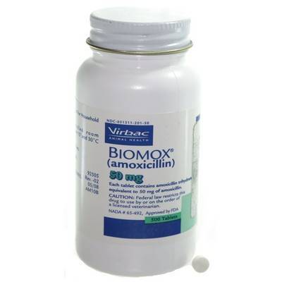 Biomox for Dogs - Amoxicillin for Dog - VetRxDirect ...