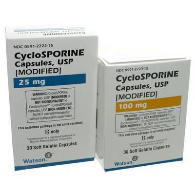 Cyclosporine for Dogs: Generic Modified 