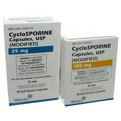 Cyclosporine modified sales for dogs
