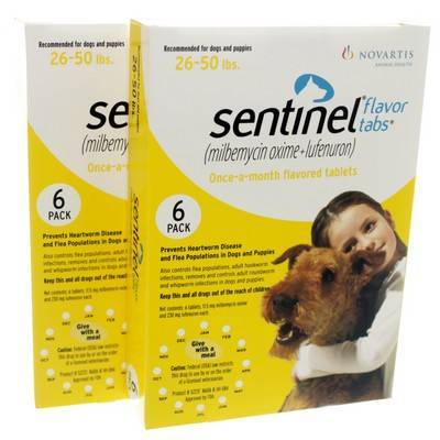 cough tabs for dogs