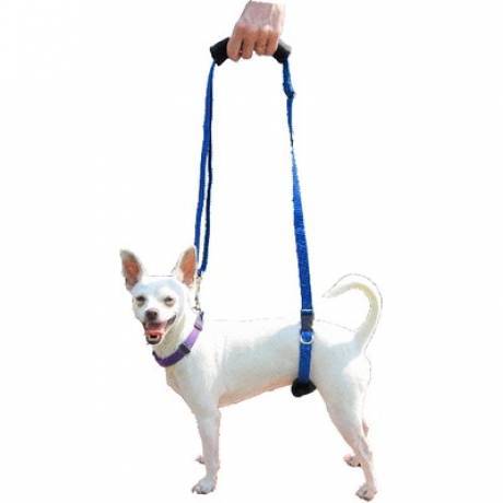 gingerlead dog harness