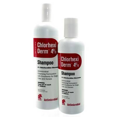 chlorhexiderm shampoo