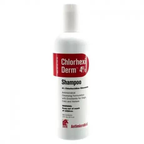 chlorhexiderm shampoo