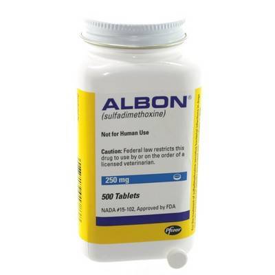 albon medication for cats