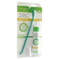 Enzadent Dual-Ended Toothbrush Kit; ?>