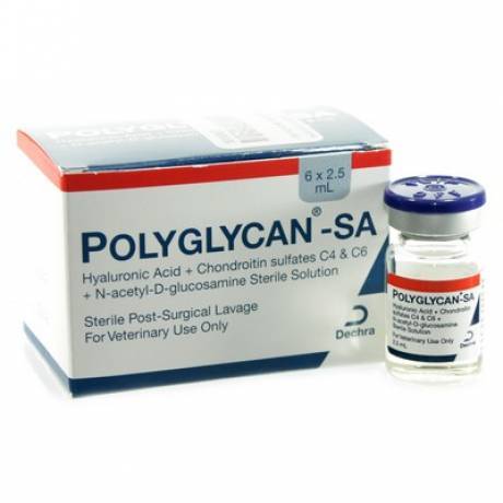 Polyglycan -SA Hyaluronic Acid, Chondroitin and Glucosamine Injection