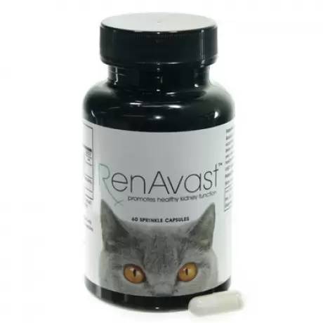 RenAvast for Cats, Bottle of 60 Sprinkle Capsules