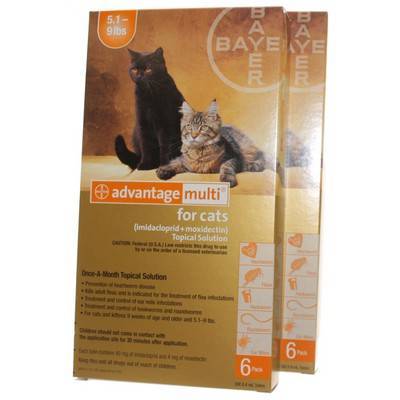 advantage multi for kittens