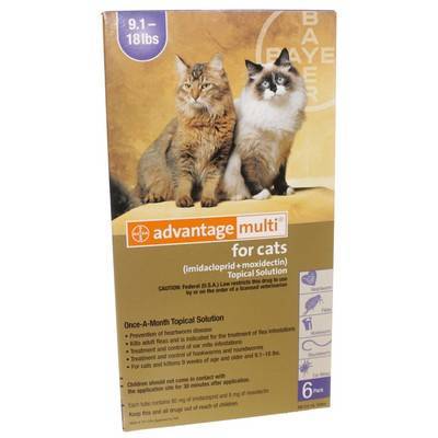 Advantage Multi For Cats Heartworm Flea Med Vetrxdirect Advantage Multi For Cats Heartworm Flea Med Vetrxdirect