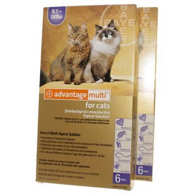 advantage multi for cats uk