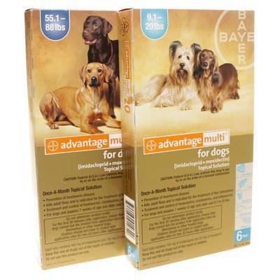 advantage heartworm treatment