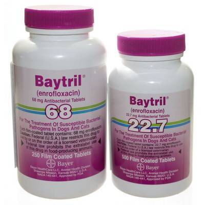7661 1 baytril film coated tablets for dogs and cats