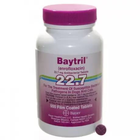 Baytril Film Coated Tablets for Dogs and Cats 22.7mg