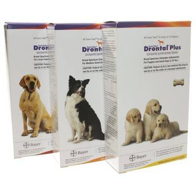 Drontal Plus for Dogs - Dewormer Taste 