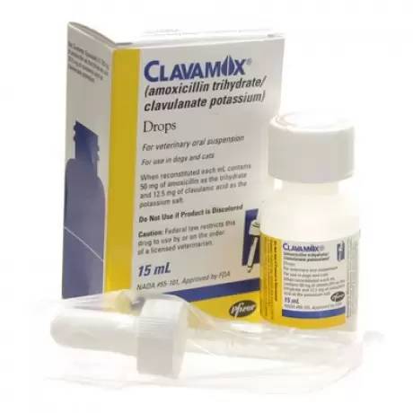 7706 14 clavamox antibiotic for dogs cats