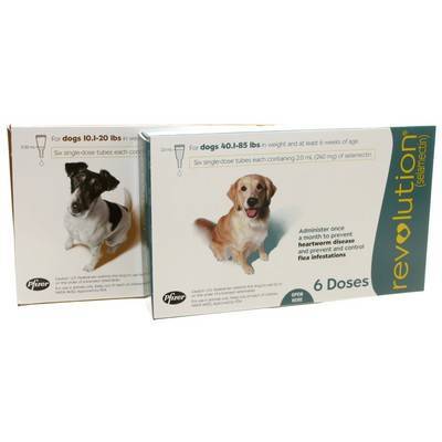 heartworm and flea medication for dogs