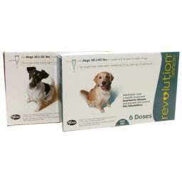 milbeguard for dogs