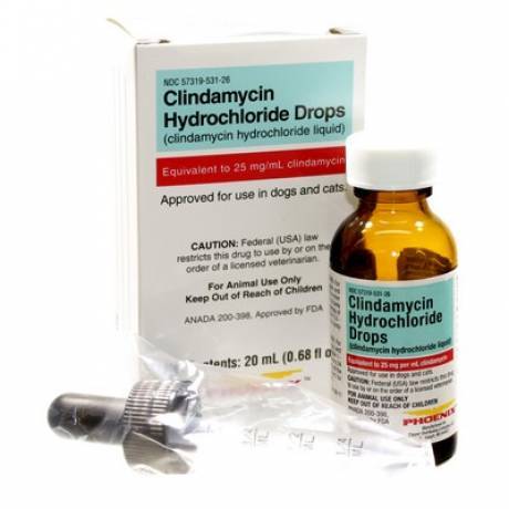 Clindamycin Drops for Dogs and Cats