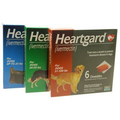 when should i give my puppy heartgard