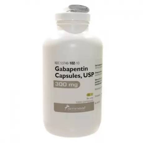 gabapentin for pain for dogs