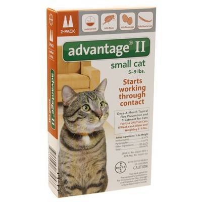 advantage 2 small cat
